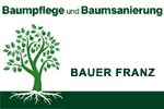 Bauer Berg Starnberg Baumfällung Baumpflege Baumschnitt Wurzelstockfräsen